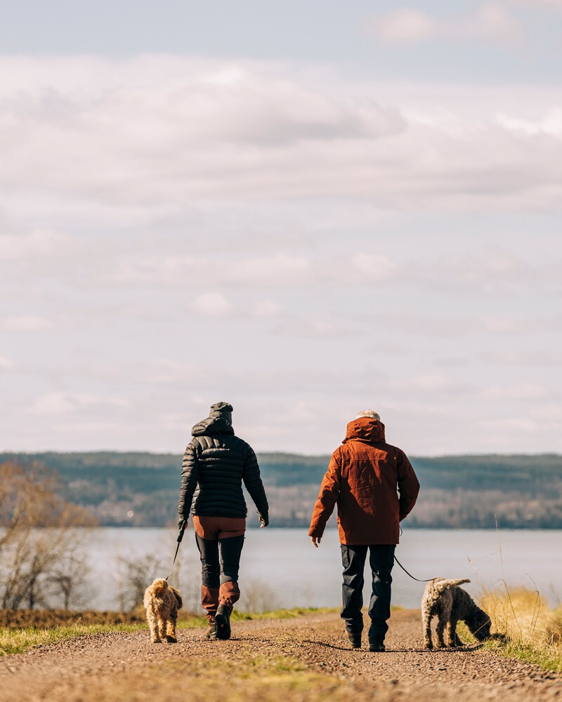 Winterjacke Värnamo Padded, Pinewood