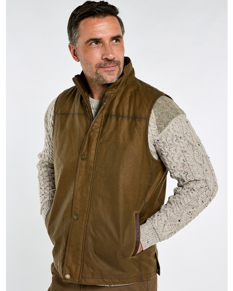 Wachsweste Mayfly, Dubarry