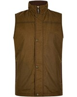 Wachsweste Mayfly, Dubarry