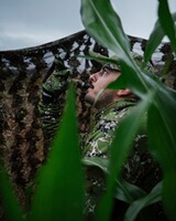 Bushshirt Infinity-Forest, Merkel Gear