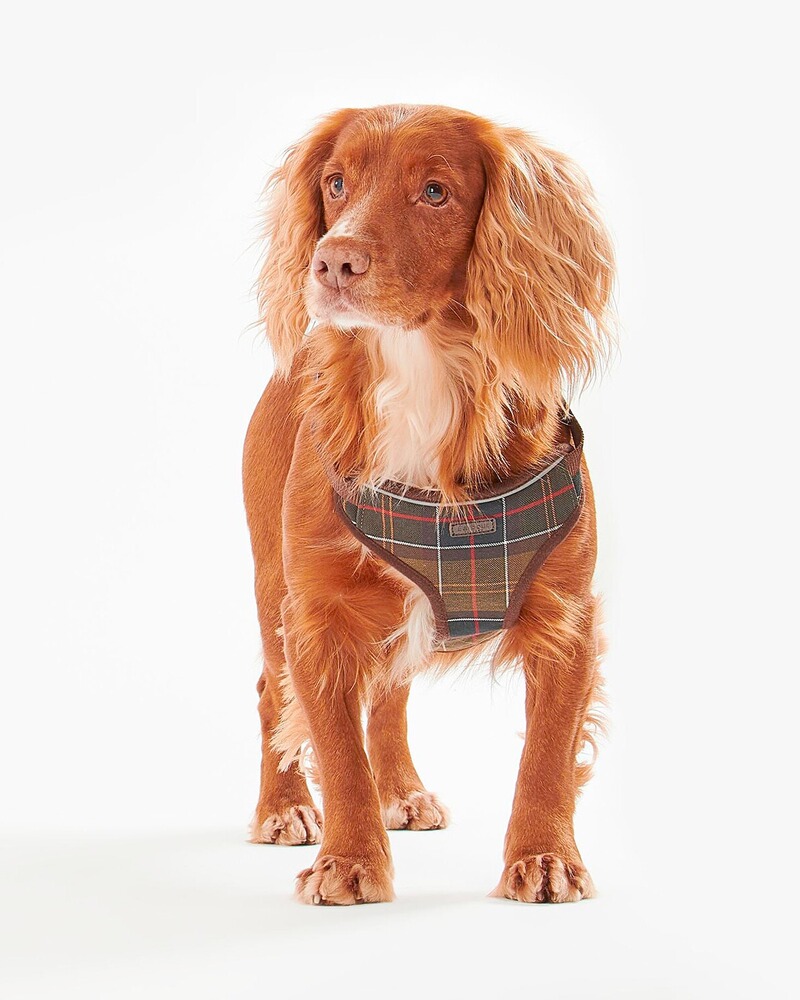 Hundegeschirr Classic Tartan, Barbour