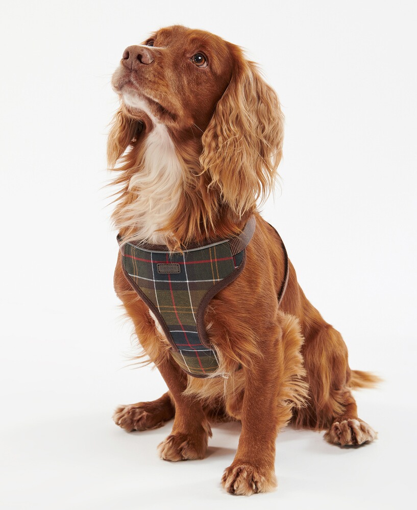 Hundegeschirr Travel and Exercise, Barbour
