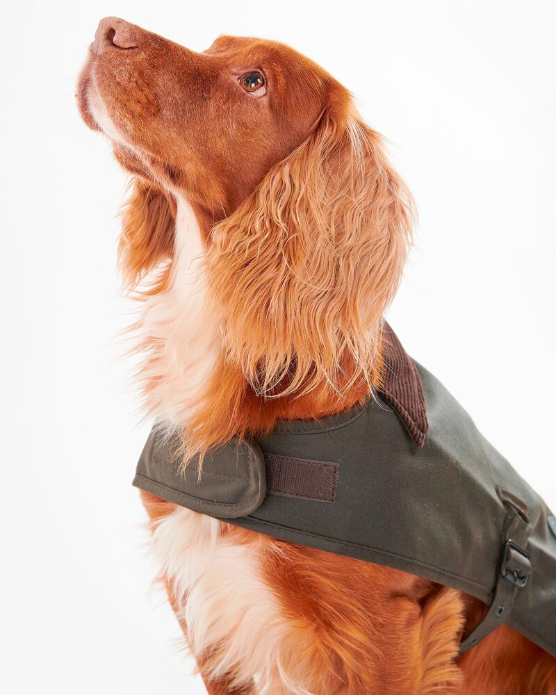 Hundemantel Matt Wax, Barbour