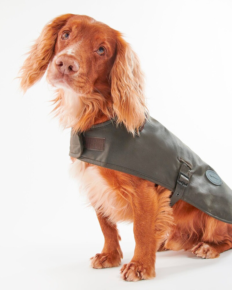 Hundemantel Matt Wax, Barbour