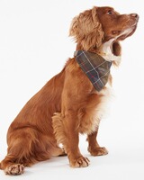 Barbour Hundehalstuch, Barbour
