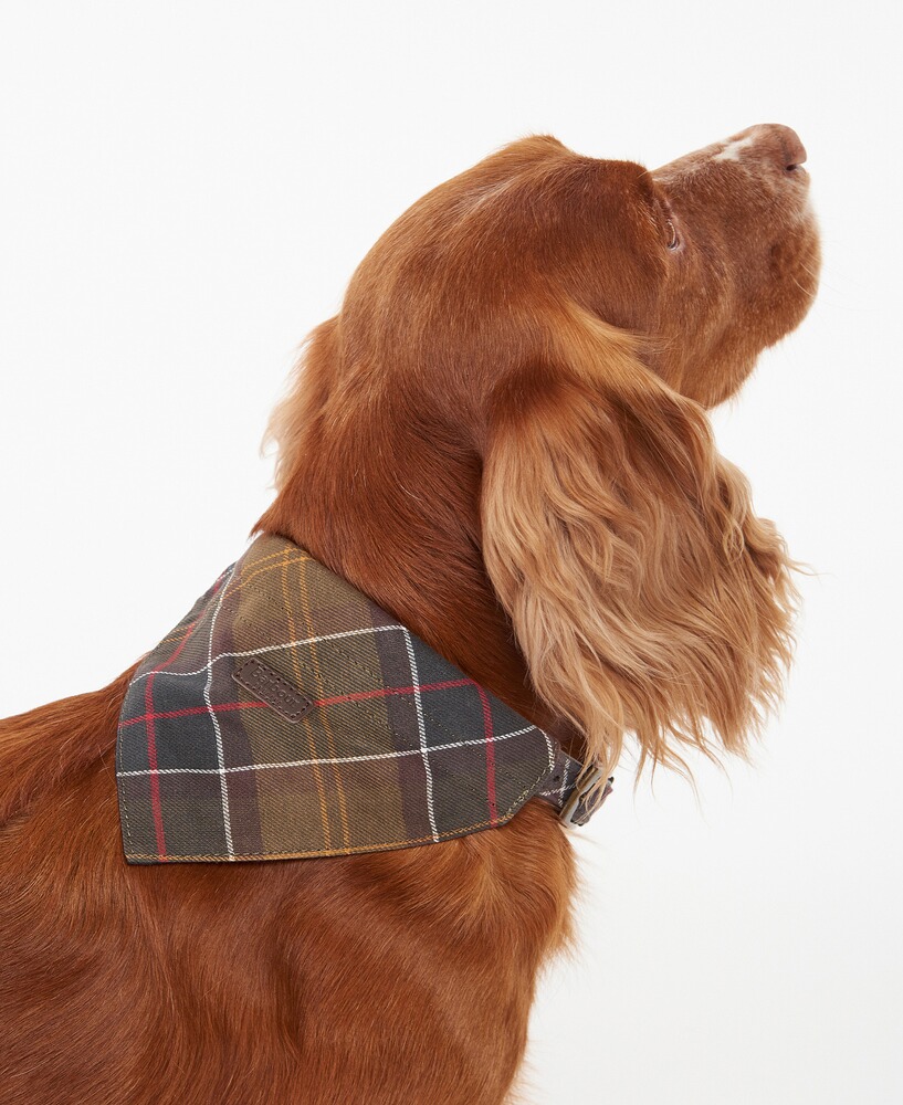 Barbour Hundehalstuch, Barbour