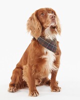 Barbour Hundehalstuch, Barbour