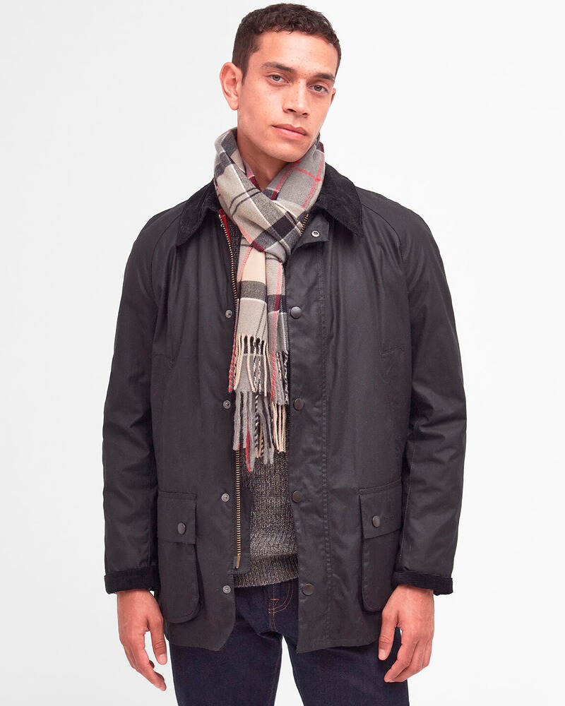 Schal Galingale, Barbour