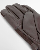 Handschuh Barlow, Barbour