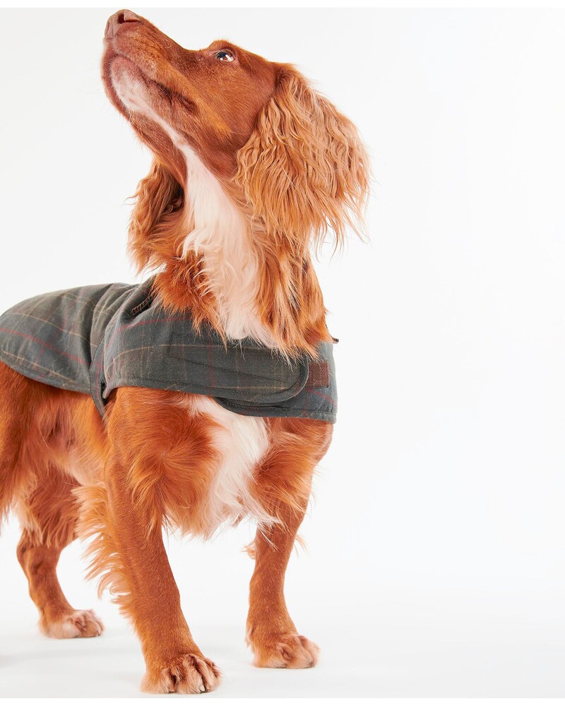 Hundemantel Tartan Wax, Barbour