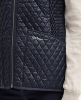 Steppweste Swallow, Barbour