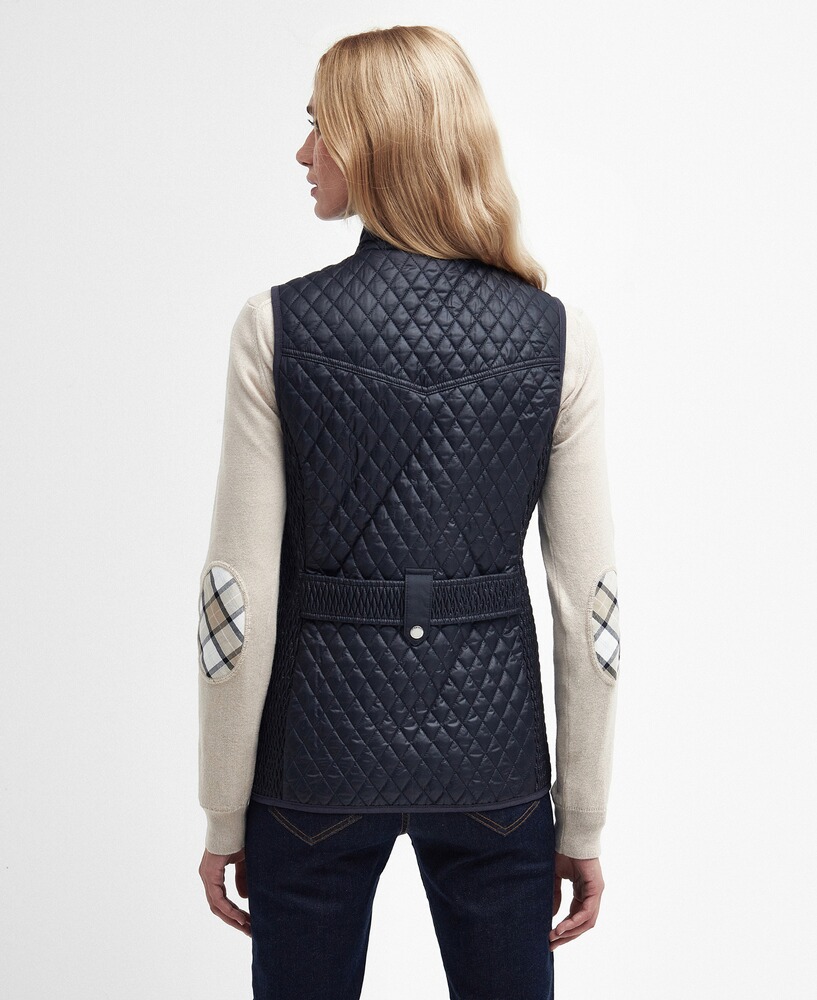 Steppweste Swallow, Barbour