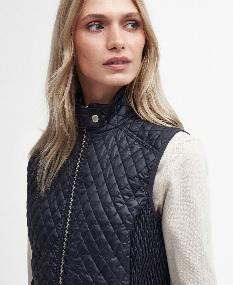 Steppweste Swallow, Barbour