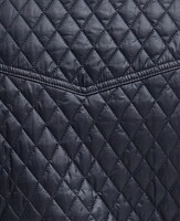 Steppweste Swallow, Barbour