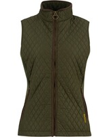 Steppweste Basswood, Barnes