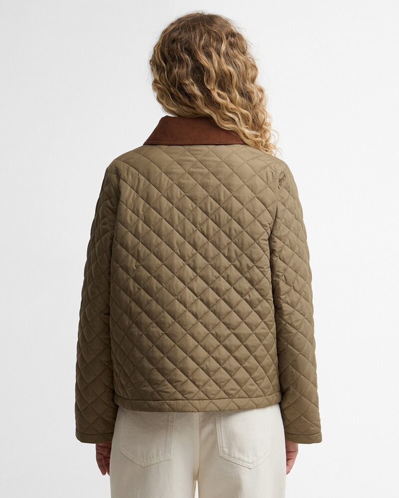 Steppjacke Aylesby, Barbour