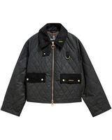 Gesteppte Wachsjacke Spey, Barbour
