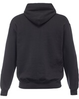 Hoodie Hunt to Survive, Hunt to Survive